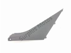 Flanc carenage gauche