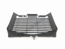 Grille de radiateur