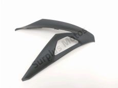 Carenage avant droit