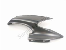 Carenage avant droit