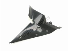 Sous face de carenage gauche