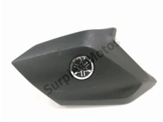 Flanc carenage gauche