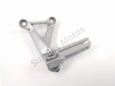 Platine arriere gauche complete