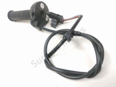 Accelerateur ride by wire