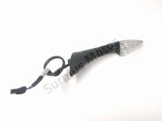 Clignotant arriere d