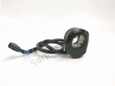 Accelerateur ride by wire