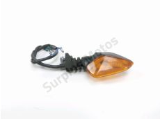 Clignotant arriere d