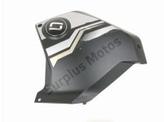 Flanc carenage gauche