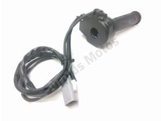 Accelerateur ride by wire