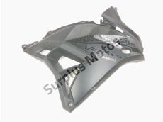 Flanc carenage droit