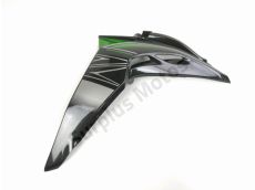 Flanc carenage gauche