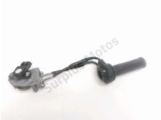 Accelerateur ride by wire