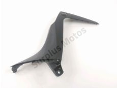 Flanc carenage gauche