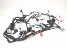 Faisceau electrique