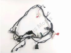 Faisceau electrique
