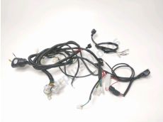 Faisceau electrique