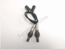 Sonde lambda