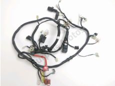 Faisceau electrique