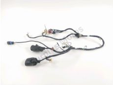 Faisceau electrique