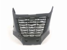 Grille de radiateur