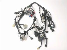 Faisceau electrique