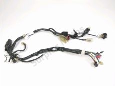 Faisceau electrique
