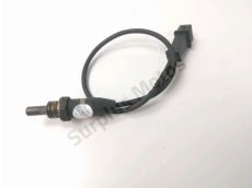 Sonde