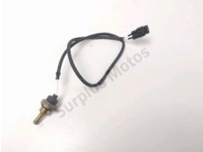 Sonde