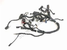 Faisceau electrique