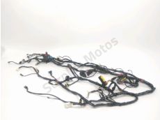 Faisceau electrique