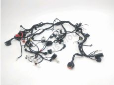 Faisceau electrique
