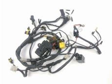 Faisceau electrique