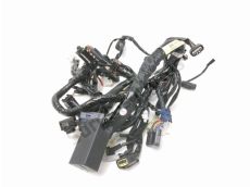 Faisceau electrique
