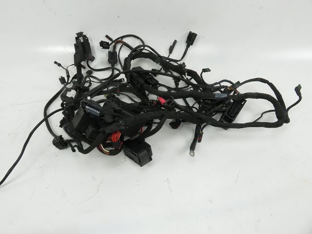 Faisceau electrique occasion BMW S 1000 R 2017