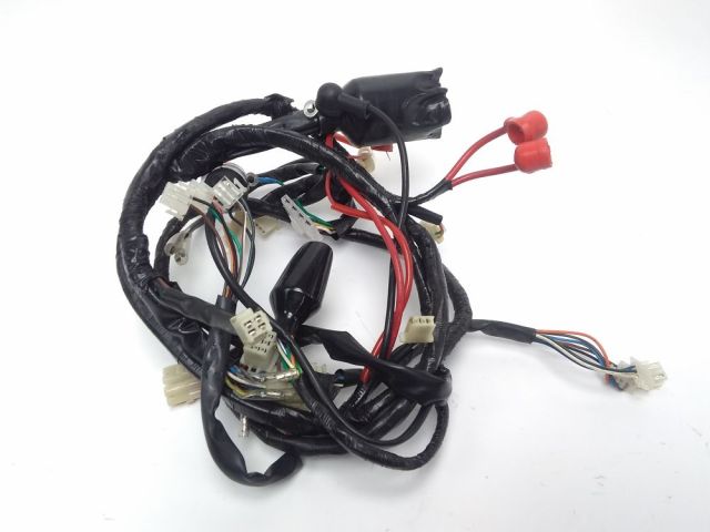 Faisceau electrique occasion NECO AZZURO 2015