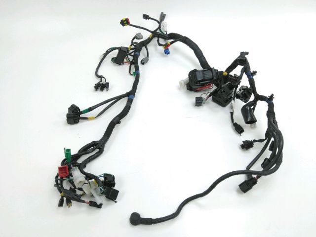 Faisceau electrique occasion ROYAL ENFIELD CONTINENTAL GT 2020