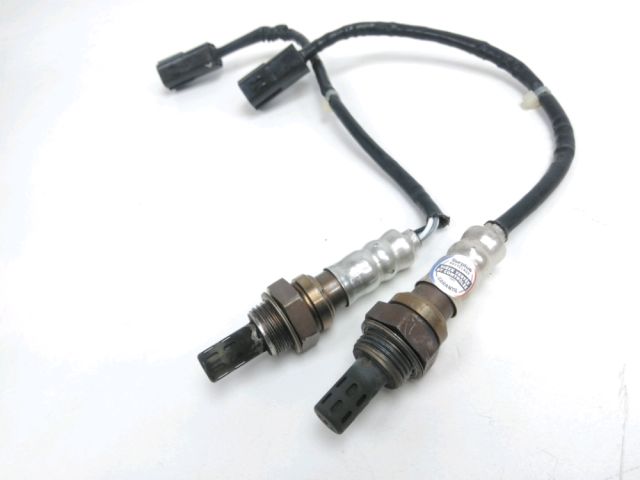 Sonde lambda occasion DUCATI MONSTER 696 2012