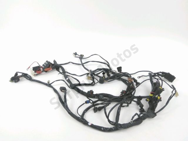 Faisceau electrique occasion BENELLI TNT CENTURY RACER 2011