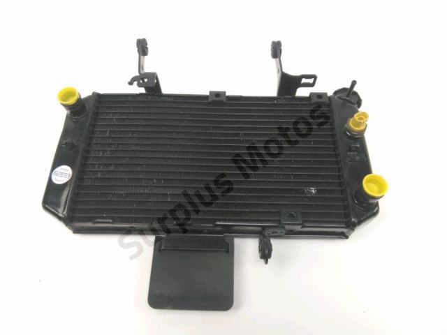 Radiateur eau occasion SUZUKI DL 650 V-STROM 2008