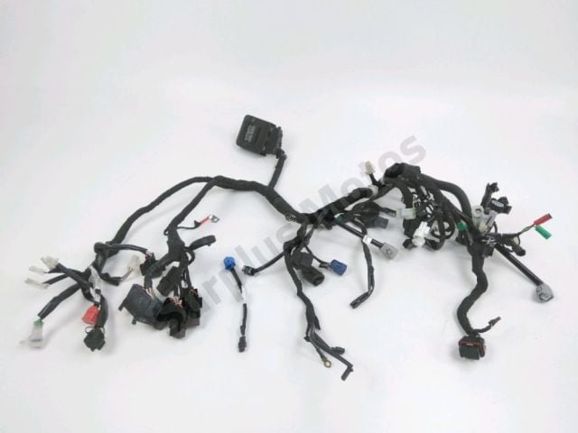 Faisceau electrique occasion KTM DUKE 125 2024