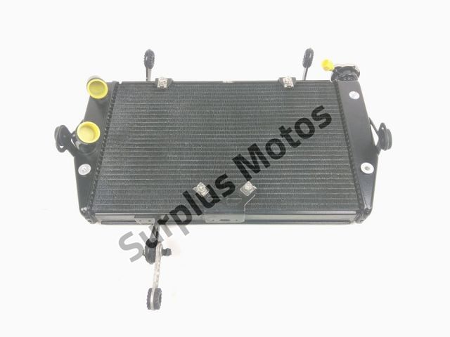Radiateur eau occasion DUCATI 1200 MULTISTRADA 2011