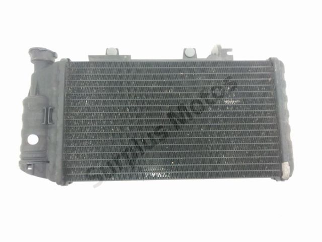 Radiateur eau gauche occasion BMW F 650 GS 2010