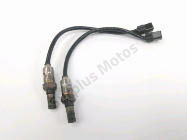 Sonde lambda occasion TRIUMPH T 100 BLACK 2020