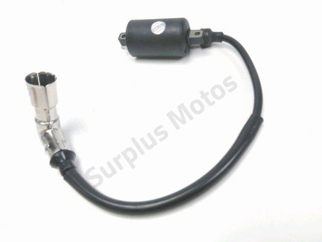 Bobine allumage occasion ORCAL ASTOR  2019