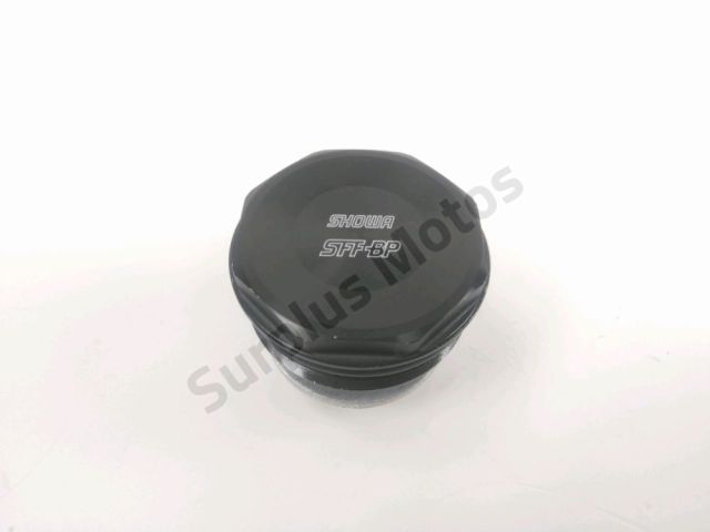 Bouchons de fourche occasion HONDA NT 2024