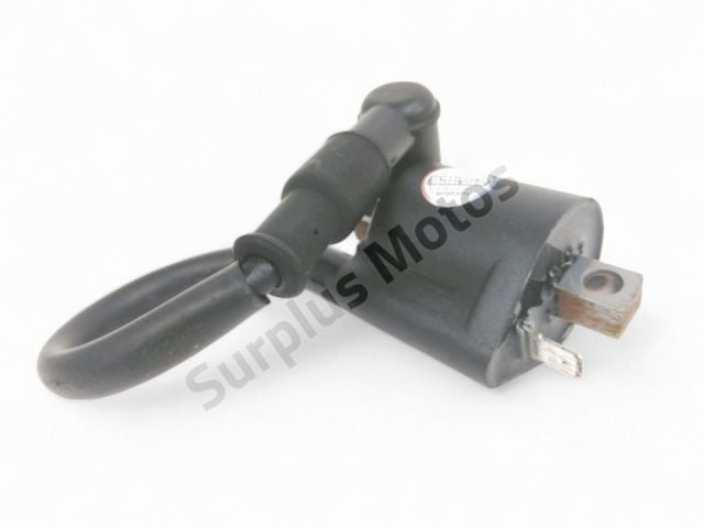 Bobine allumage occasion RIEJU MRT 2021