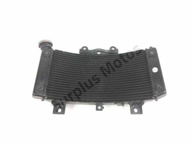 Radiateur eau occasion KTM DUKE 125 2024