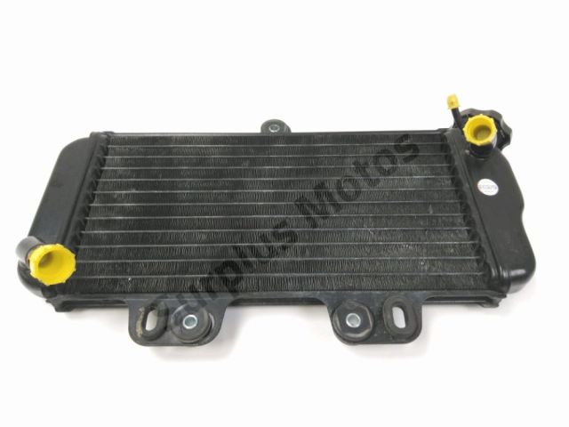 Radiateur eau occasion YAMAHA TDR 125 1999