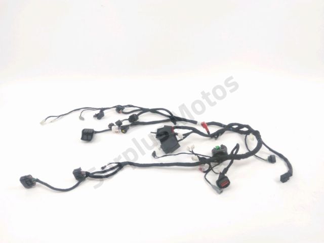 Faisceau electrique occasion VOGE SR1 2024