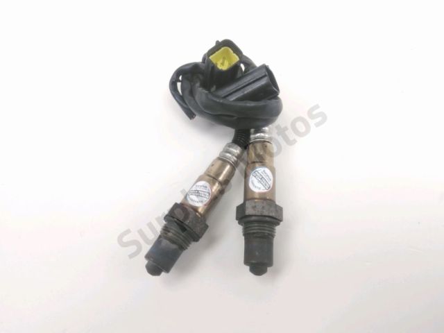 Sonde lambda occasion CF MOTO MT 2022